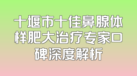 十堰市十佳鼻腺体样肥大治疗专家口碑深度解析