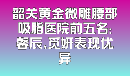 韶关黄金微雕腰部吸脂医院前五名：馨辰、觅妍表现优异