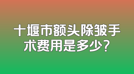 十堰市额头除皱手术费用是多少？