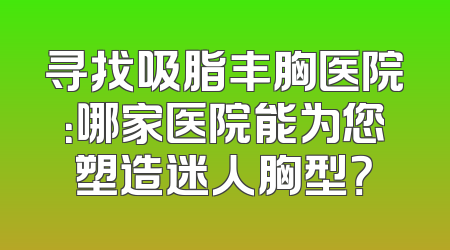 寻找吸脂丰胸医院：哪家医院能为您塑造迷人胸型？