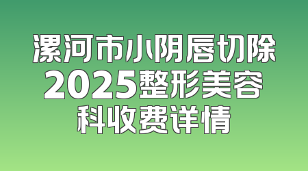 漯河市小阴唇切除2025整形美容科收费详情