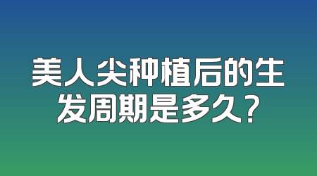 美人尖种植后的生发周期是多久？