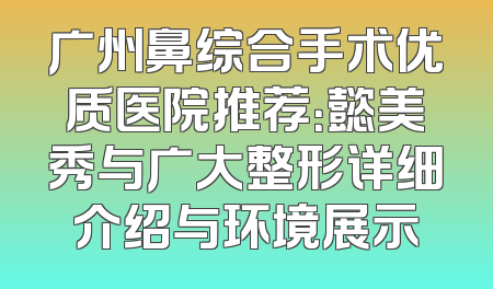 广州鼻综合手术优质医院推荐：懿美秀与广大整形详细介绍与环境展示