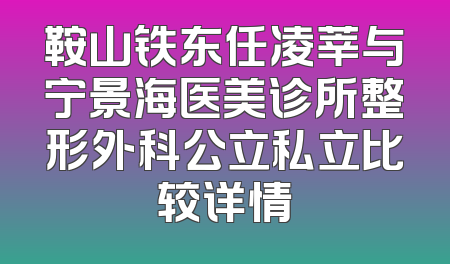 鞍山铁东任凌莘与宁景海医美诊所整形外科公立私立比较详情