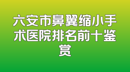六安市鼻翼缩小手术医院排名前十鉴赏