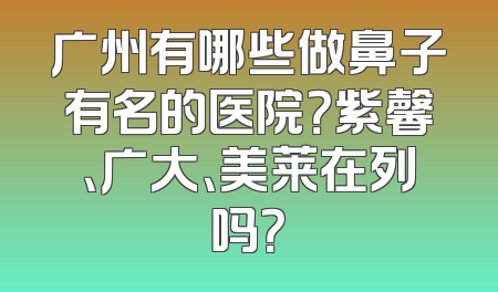 广州有哪些做鼻子有名的医院？紫馨、广大、美莱在列吗？