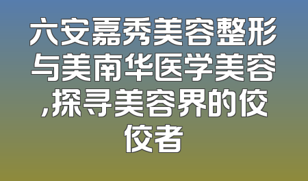 六安嘉秀美容整形与美南华医学美容，探寻美容界的佼佼者