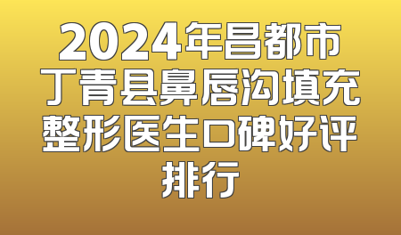2024年昌都市丁青县鼻唇沟填充整形医生口碑好评排行