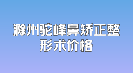 滁州驼峰鼻矫正整形术价格