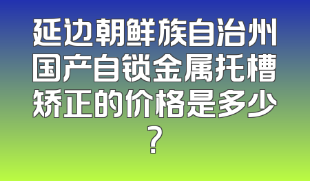 延边朝鲜族自治州国产自锁金属托槽矫正的价格是多少？