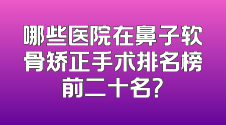 哪些医院在鼻子软骨矫正手术排名榜前二十名？