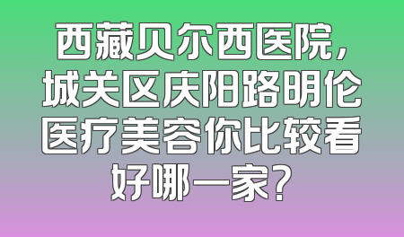 西藏贝尔西医院，城关区庆阳路明伦医疗美容你比较看好哪一家？
