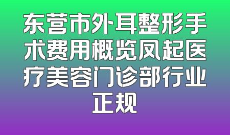 东营市外耳整形手术费用概览凤起医疗美容门诊部行业正规