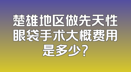 楚雄地区做先天性眼袋手术大概费用是多少？