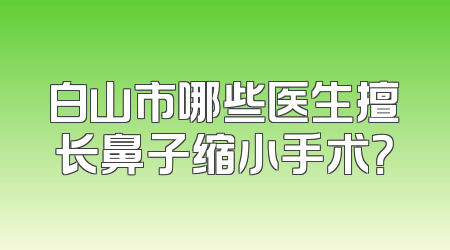 白山市哪些医生擅长鼻子缩小手术？