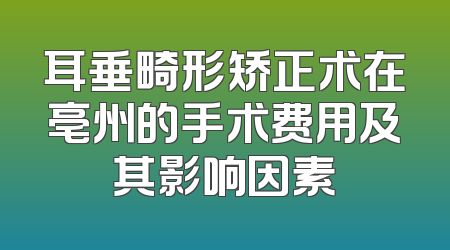 耳垂畸形矫正术在亳州的手术费用及其影响因素