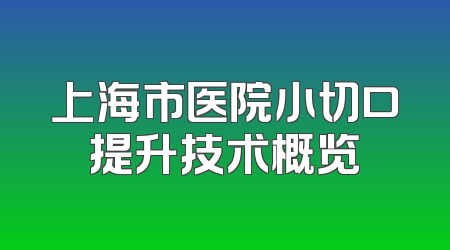 上海市医院小切口提升技术概览