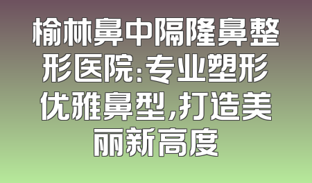 榆林鼻中隔隆鼻整形医院：专业塑形优雅鼻型，打造美丽新高度