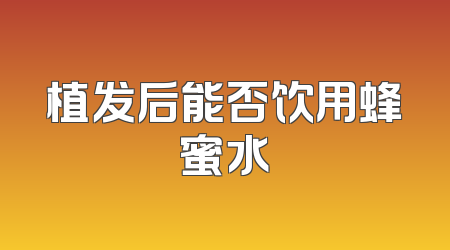植发后能否饮用蜂蜜水