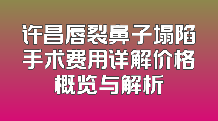 许昌唇裂鼻子塌陷手术费用详解价格概览与解析