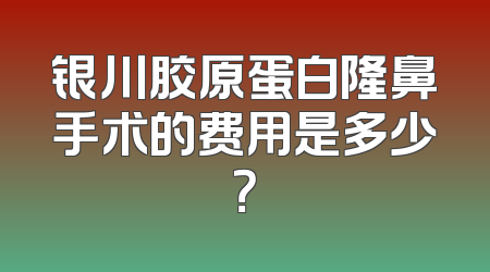 银川胶原蛋白隆鼻手术的费用是多少？
