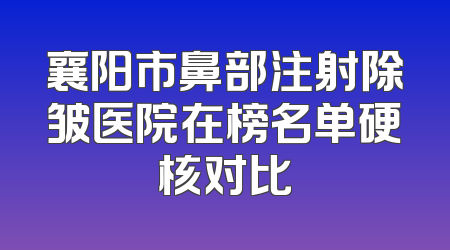 襄阳市鼻部注射除皱医院在榜名单硬核对比