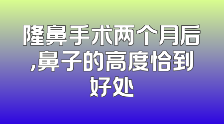 隆鼻手术两个月后，鼻子的高度恰到好处