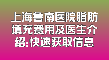 上海鲁南医院脂肪填充费用及医生介绍：快速获取信息