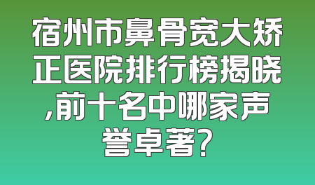 宿州市鼻骨宽大矫正医院排行榜揭晓，前十名中哪家声誉卓著？