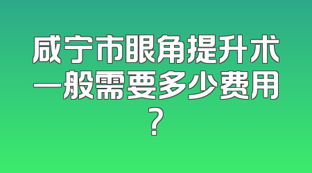 咸宁市眼角提升术一般需要多少费用？
