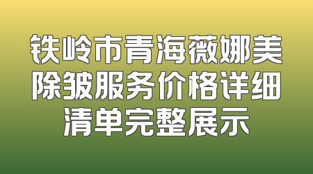 铁岭市青海薇娜美除皱服务价格详细清单完整展示