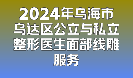 2024年乌海市乌达区公立与私立整形医生面部线雕服务
