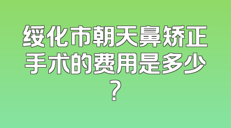 绥化市朝天鼻矫正手术的费用是多少？