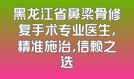 黑龙江省鼻梁骨修复手术专业医生，精准施治，信赖之选
