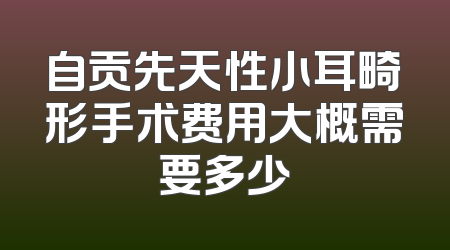 自贡先天性小耳畸形手术费用大概需要多少