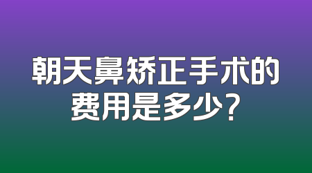朝天鼻矫正手术的费用是多少？