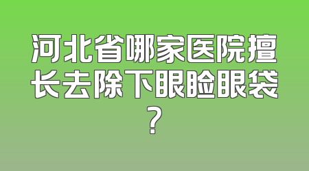 河北省哪家医院擅长去除下眼睑眼袋？
