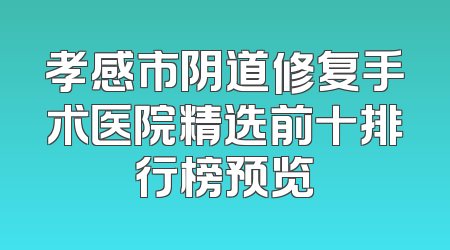 孝感市阴道修复手术医院精选前十排行榜预览