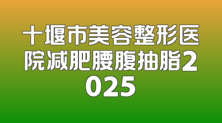十堰市美容整形医院减肥腰腹抽脂2025