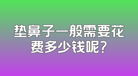 垫鼻子一般需要花费多少钱呢？