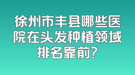 徐州市丰县哪些医院在头发种植领域排名靠前？