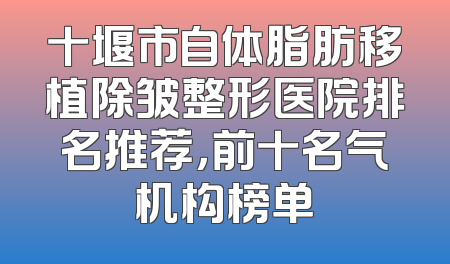 十堰市自体脂肪移植除皱整形医院排名推荐，前十名气机构榜单