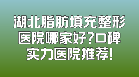 湖北脂肪填充整形医院哪家好？口碑实力医院推荐！