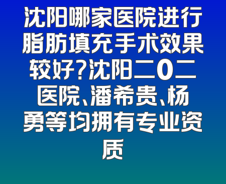 沈阳哪家医院进行脂肪填充手术效果较好？沈阳二0二医院、潘希贵、杨勇等均拥有专业资质