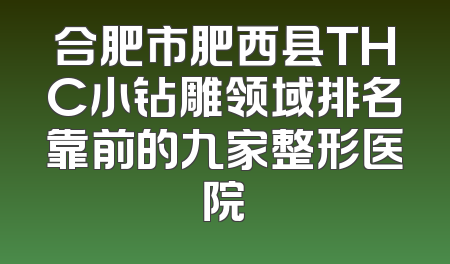 合肥市肥西县THC小钻雕领域排名靠前的九家整形医院