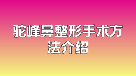 驼峰鼻整形手术方法介绍