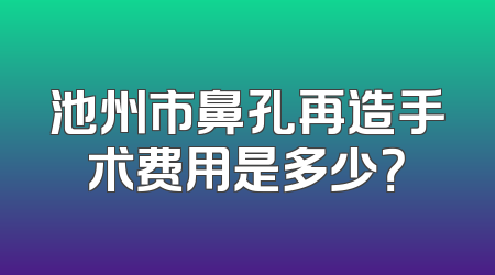 池州市鼻孔再造手术费用是多少？
