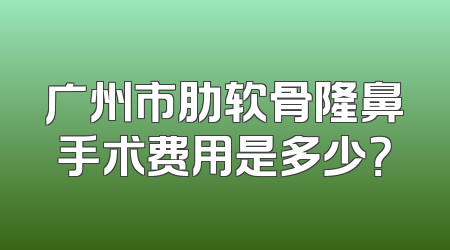广州市肋软骨隆鼻手术费用是多少？
