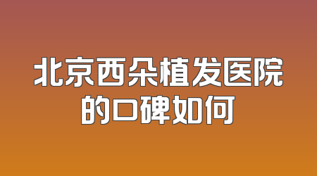 北京西朵植发医院的口碑如何