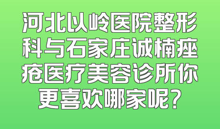 河北以岭医院整形科与石家庄诚楠痤疮医疗美容诊所你更喜欢哪家呢？
